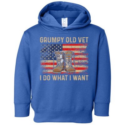 Grumpy Old Vet I Do What I Want Toddler Hoodie
