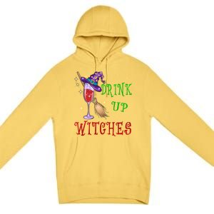 Glass Of Wine Up Witches Funny Ing Wine Halloween Gift Premium Pullover Hoodie