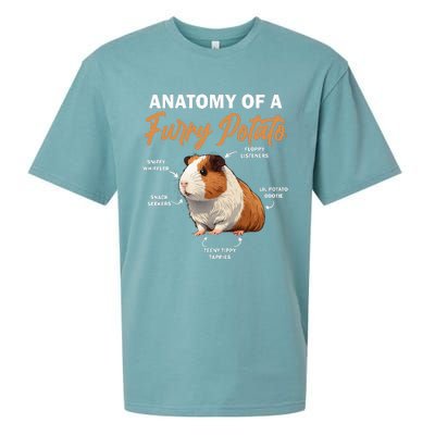 Guinea Pig Anatomy Of A Furry Potato Guinea Pig Funny Sueded Cloud Jersey T-Shirt