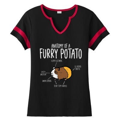 Guinea Pig Anatomy Of Furry Potato Funny Cavy Ladies Halftime Notch Neck Tee