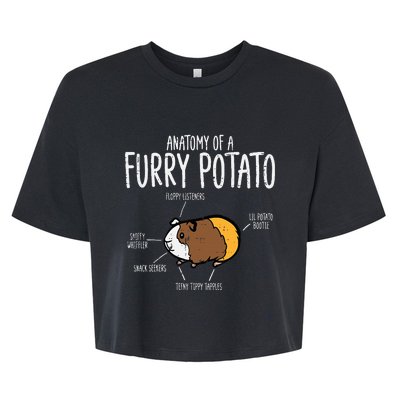 Guinea Pig Anatomy Of Furry Potato Funny Cavy Bella+Canvas Jersey Crop Tee