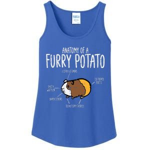 Guinea Pig Anatomy Of Furry Potato Funny Cavy Ladies Essential Tank