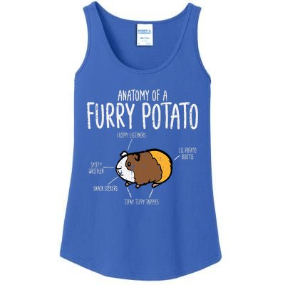 Guinea Pig Anatomy Of Furry Potato Funny Cavy Ladies Essential Tank