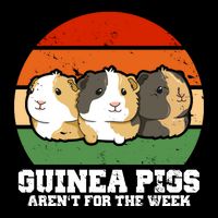 Guinea Pigs Aren't For The Week 7-Panel Snapback Hat