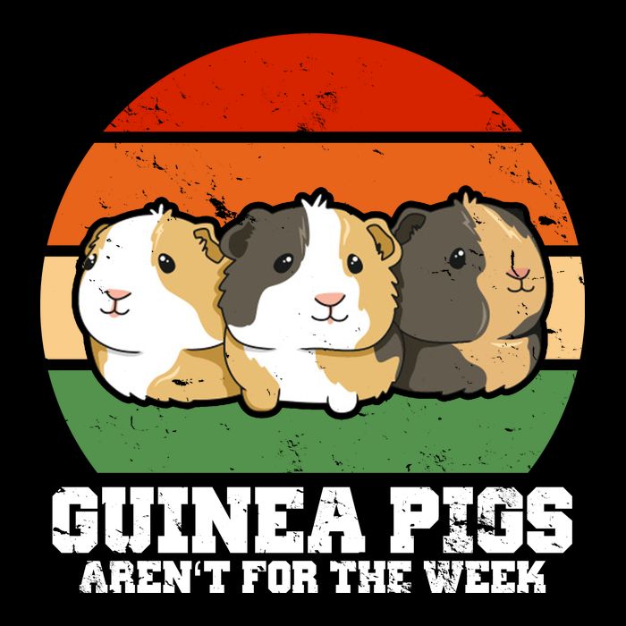 Guinea Pigs Aren't For The Week 7-Panel Snapback Hat