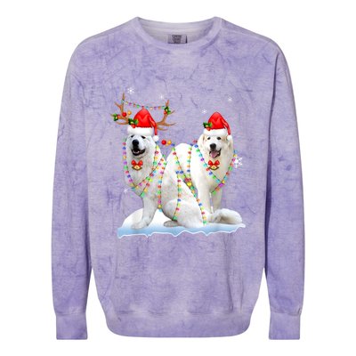 Great Pyrenees Christmas Tree Lights Reindeer Santa Xmas Colorblast Crewneck Sweatshirt