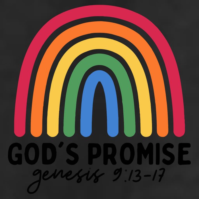 Gods Promise Christian Rainbow 7 Panel Mesh Trucker Snapback Hat
