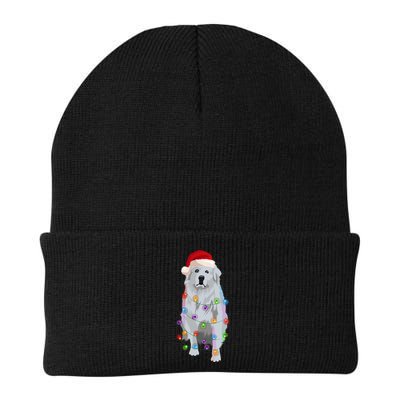 Great Pyrenees Christmas Lights Xmas Patou Pyrenean Gift Beanie