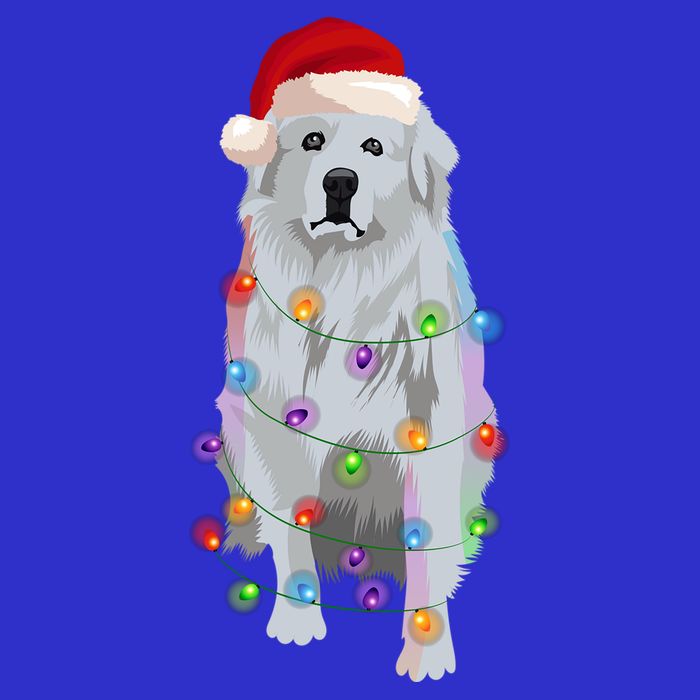 Great Pyrenees Christmas Lights Xmas Patou Pyrenean Gift T-Shirt