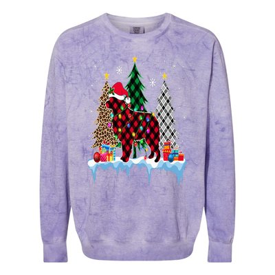 Great Pyrenees Dog Tree Christmas Lights Funny Xmas Pajama Colorblast Crewneck Sweatshirt