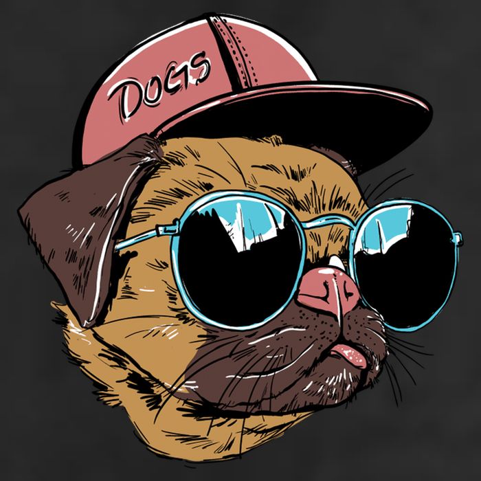 Gangster Pug Dog Hipster Cool Shades 7 Panel Mesh Trucker Snapback Hat
