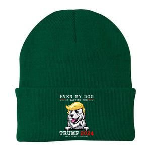 Great Pyrenees Dog Even My Dog Is Waiting For Trump 2024 Knit Cap Winter Beanie