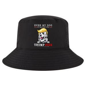 Great Pyrenees Dog Even My Dog Is Waiting For Trump 2024 Cool Comfort Performance Bucket Hat