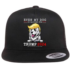 Great Pyrenees Dog Even My Dog Is Waiting For Trump 2024 Flat Bill Trucker Hat