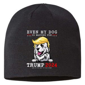 Great Pyrenees Dog Even My Dog Is Waiting For Trump 2024 Sustainable Beanie