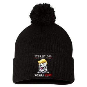 Great Pyrenees Dog Even My Dog Is Waiting For Trump 2024 Pom Pom 12in Knit Beanie