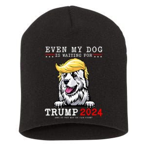 Great Pyrenees Dog Even My Dog Is Waiting For Trump 2024 Short Acrylic Beanie