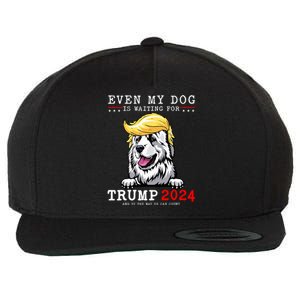 Great Pyrenees Dog Even My Dog Is Waiting For Trump 2024 Wool Snapback Cap