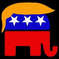 Gop President Donald Trump Republican Elephant Hair Women's Crop Top Tee