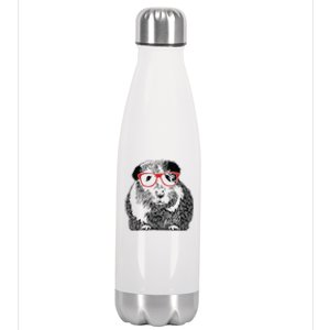 Guinea Pig Funny Guinea Pig Cute Guinea Pig Stainless Steel Insulated Water Bottle