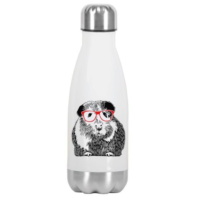 Guinea Pig Funny Guinea Pig Cute Guinea Pig Stainless Steel Insulated Water Bottle