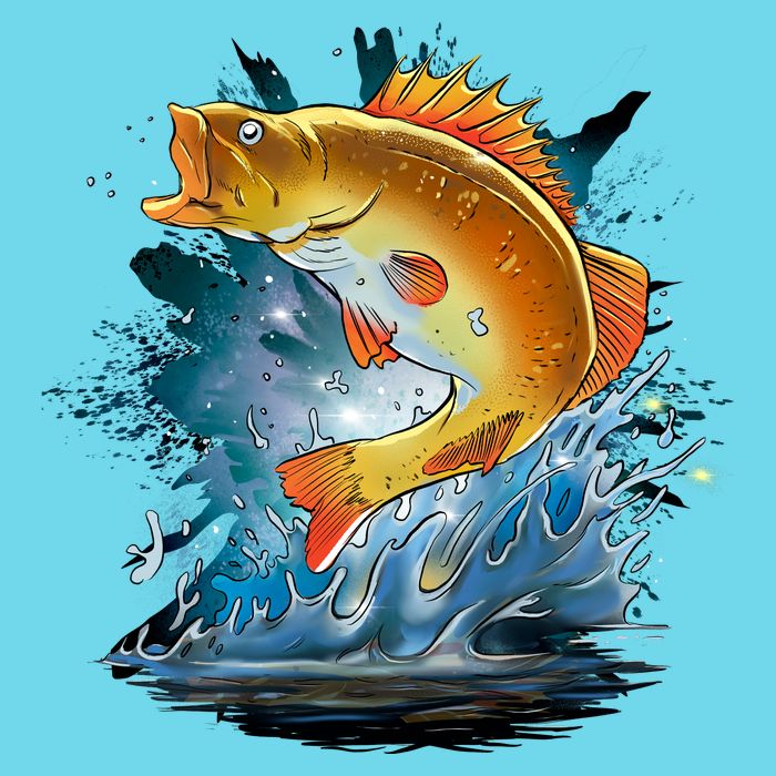 Golden Perch Fish Sea Button