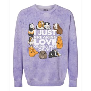 Guinea Pig Guinea Pig Lover Tee Funny Guinea Pig Colorblast Crewneck Sweatshirt