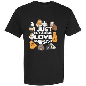 Guinea Pig Guinea Pig Lover Tee Funny Guinea Pig Garment-Dyed Heavyweight T-Shirt