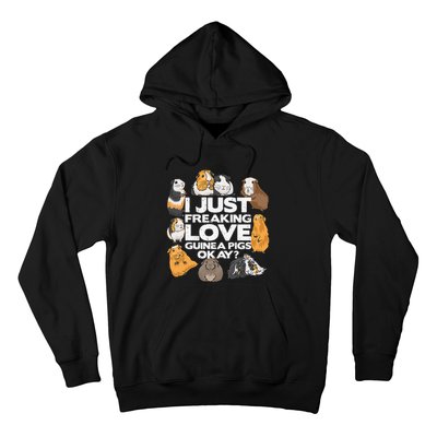 Guinea Pig Guinea Pig Lover Tee Funny Guinea Pig Hoodie