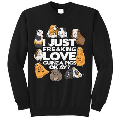 Guinea Pig Guinea Pig Lover Tee Funny Guinea Pig Sweatshirt