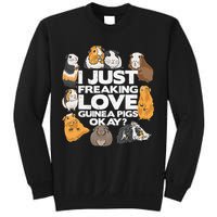 Guinea Pig Guinea Pig Lover Tee Funny Guinea Pig Sweatshirt