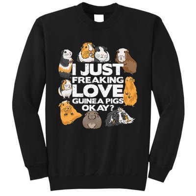 Guinea Pig Guinea Pig Lover Tee Funny Guinea Pig Sweatshirt