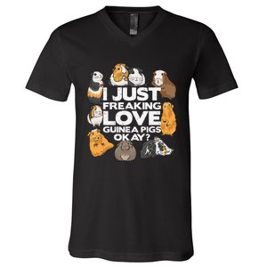 Guinea Pig Guinea Pig Lover Tee Funny Guinea Pig V-Neck T-Shirt