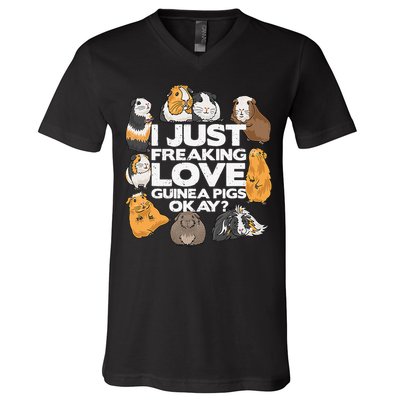 Guinea Pig Guinea Pig Lover Tee Funny Guinea Pig V-Neck T-Shirt