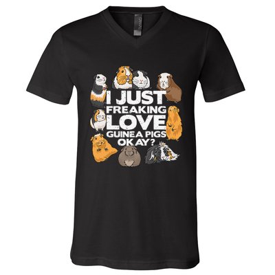 Guinea Pig Guinea Pig Lover Tee Funny Guinea Pig V-Neck T-Shirt