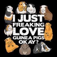 Guinea Pig Guinea Pig Lover Tee Funny Guinea Pig City Backpack