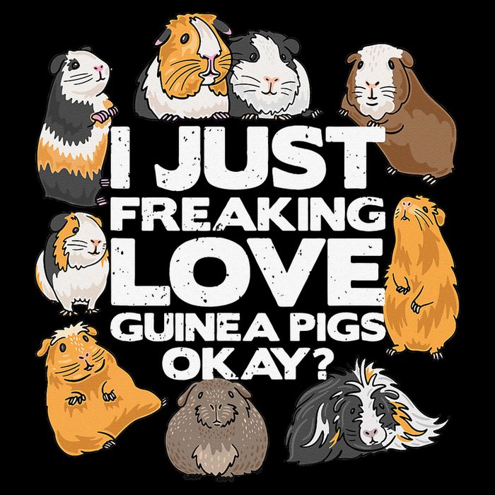Guinea Pig Guinea Pig Lover Tee Funny Guinea Pig City Backpack