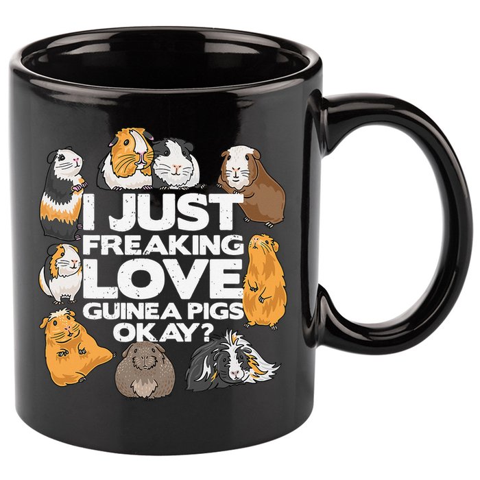 Guinea Pig Guinea Pig Lover Tee Funny Guinea Pig 11oz C Handle Ceramic Mug