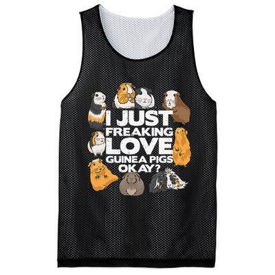 Guinea Pig Guinea Pig Lover Tee Funny Guinea Pig Mesh Reversible Basketball Jersey Tank