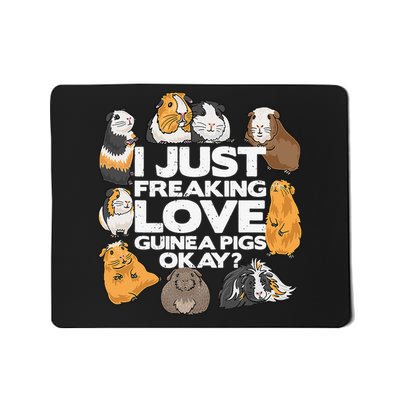 Guinea Pig Guinea Pig Lover Tee Funny Guinea Pig Mousepad