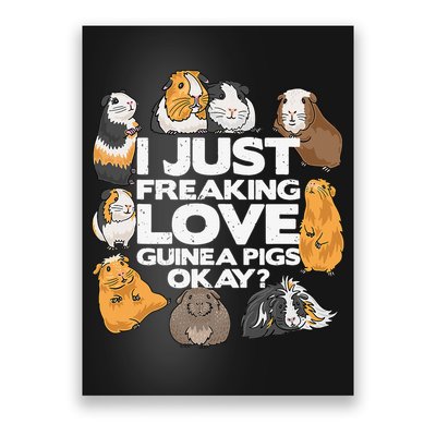 Guinea Pig Guinea Pig Lover Tee Funny Guinea Pig Poster