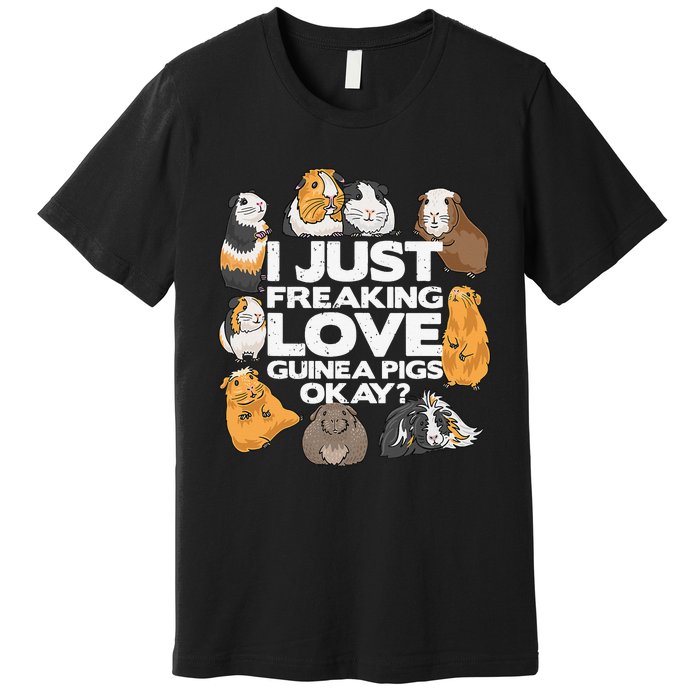 Guinea Pig Guinea Pig Lover Tee Funny Guinea Pig Premium T-Shirt