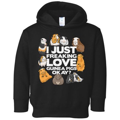 Guinea Pig Guinea Pig Lover Tee Funny Guinea Pig Toddler Hoodie