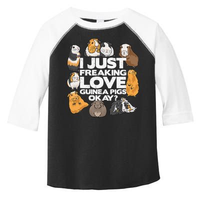 Guinea Pig Guinea Pig Lover Tee Funny Guinea Pig Toddler Fine Jersey T-Shirt