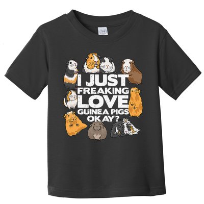 Guinea Pig Guinea Pig Lover Tee Funny Guinea Pig Toddler T-Shirt