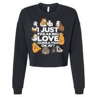 Guinea Pig Guinea Pig Lover Tee Funny Guinea Pig Cropped Pullover Crew