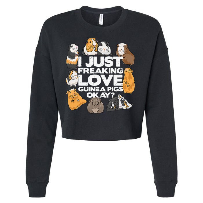 Guinea Pig Guinea Pig Lover Tee Funny Guinea Pig Cropped Pullover Crew
