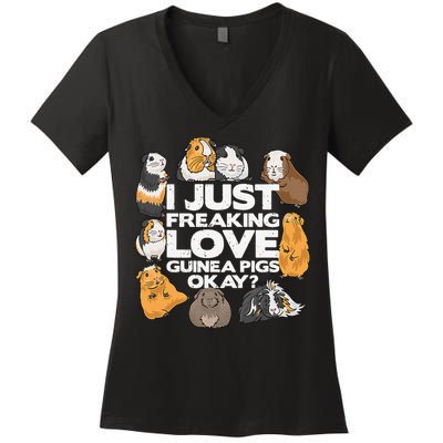 Guinea Pig Guinea Pig Lover Tee Funny Guinea Pig Women's V-Neck T-Shirt