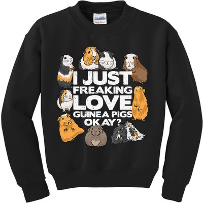 Guinea Pig Guinea Pig Lover Tee Funny Guinea Pig Kids Sweatshirt