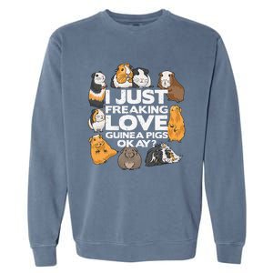 Guinea Pig Guinea Pig Lover Tee Funny Guinea Pig Garment-Dyed Sweatshirt